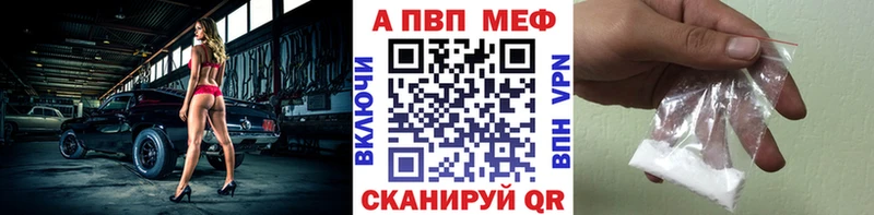 A PVP СК КРИС  Няндома 