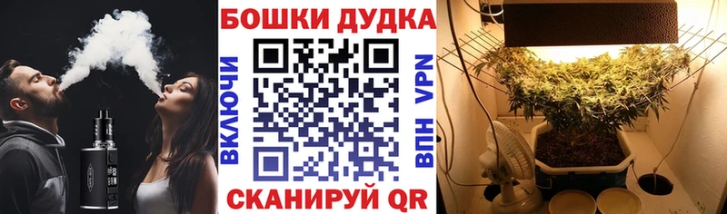 хочу наркоту  Няндома  сайты даркнета телеграм  Марихуана план 